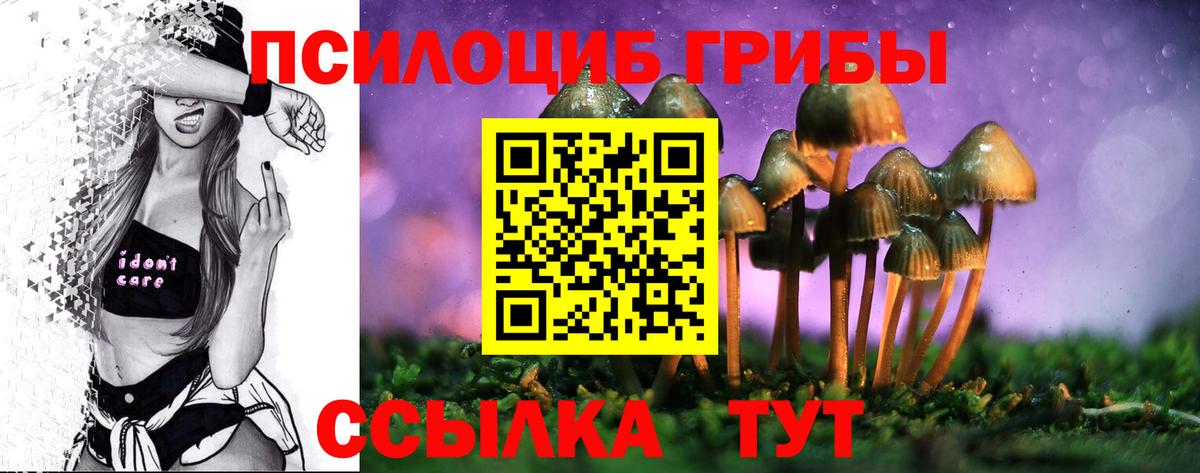 Буйнакск  Галлюциногенные грибы Psilocybe  Вход с VPN 